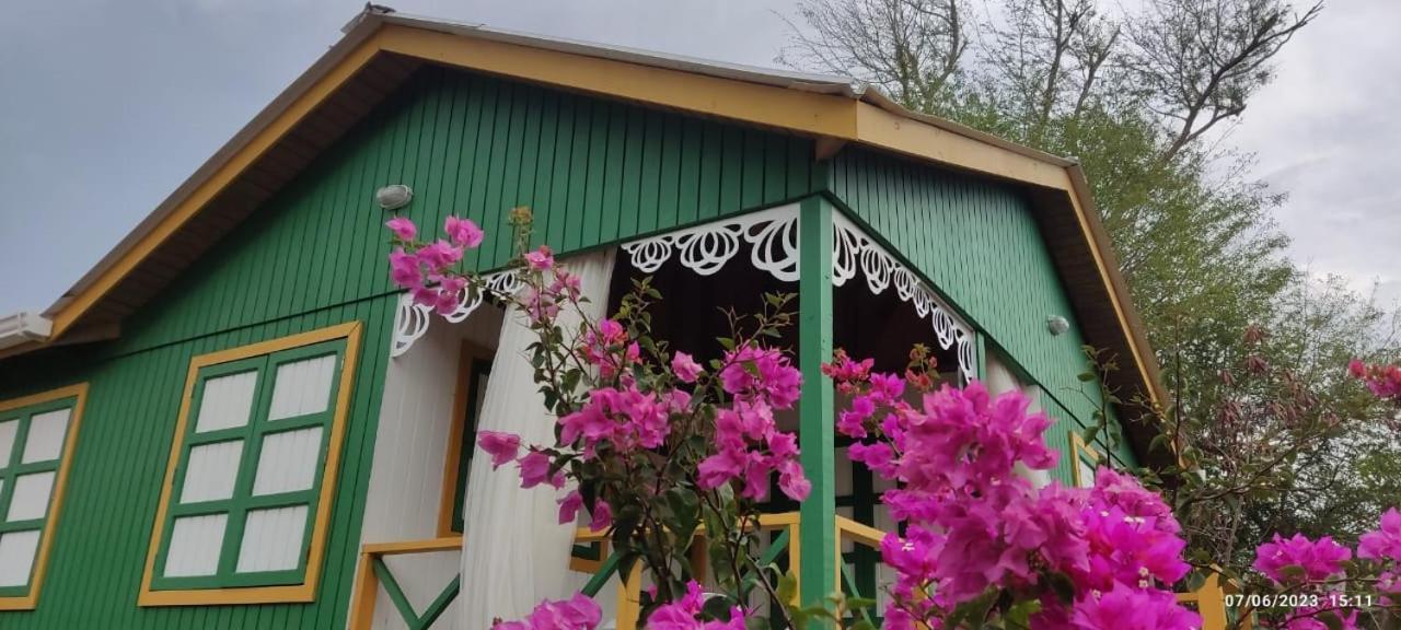 Hotel Yellow Home Providencia Isla Bahia Suroeste Ngoại thất bức ảnh